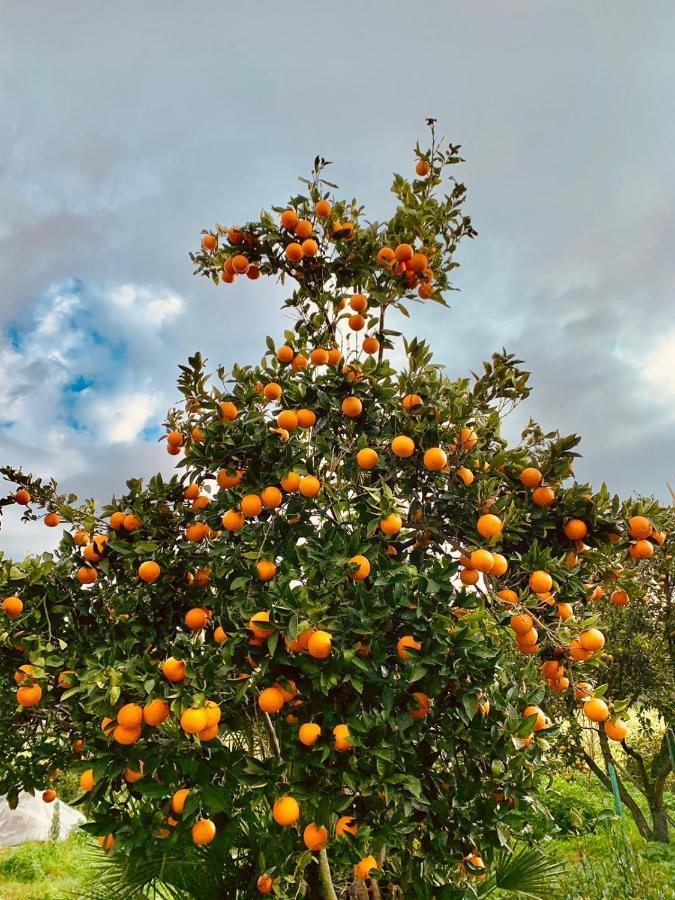 Appartamento Villa Lucia SantʼEufemia Lamezia Dış mekan fotoğraf